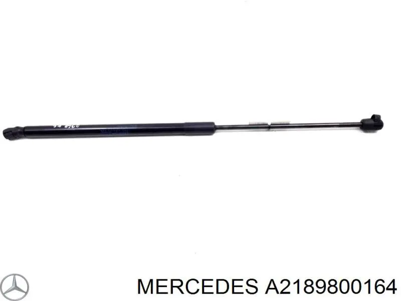  2189800164 Mercedes