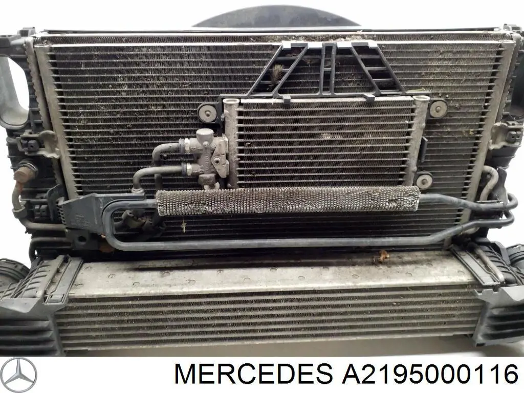 Купить A2195000116 Mercedes Дефлектор радиатора