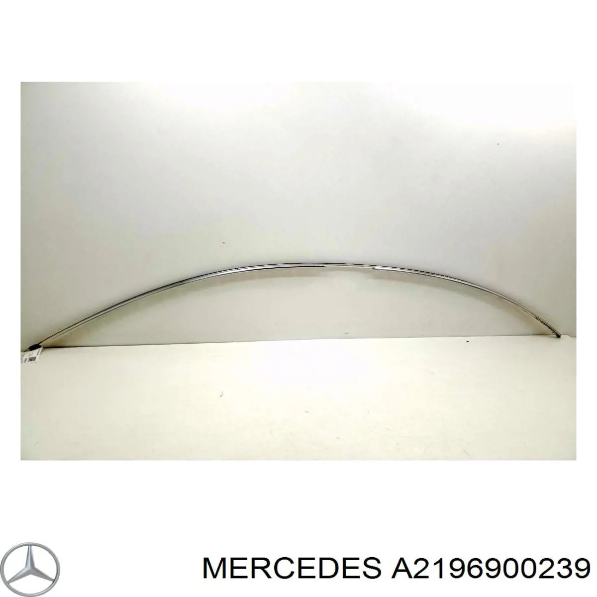 A2196900239 Mercedes 