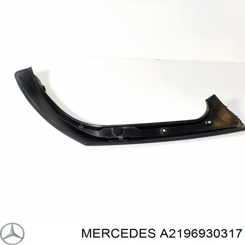  A2196930317 Mercedes