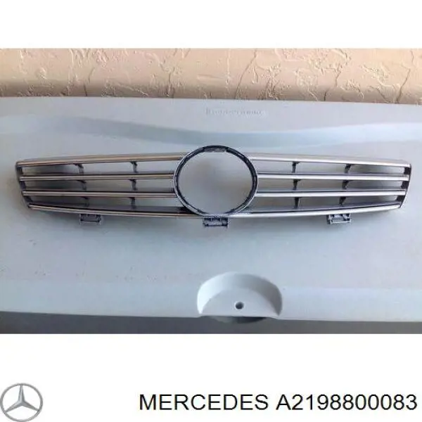 A2198800083 MERCEDES Parrilla original y equivalente