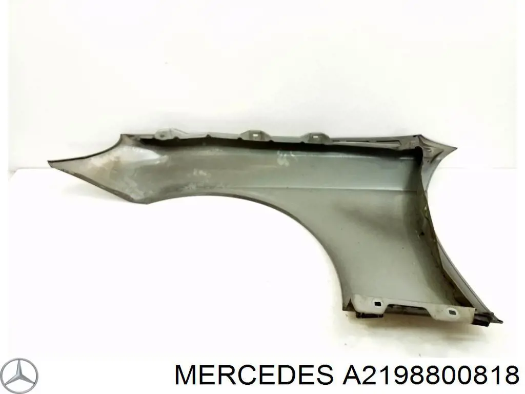 A2198800818 Mercedes pára-lama dianteiro direito