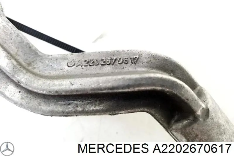 A2202670617 Mercedes 
