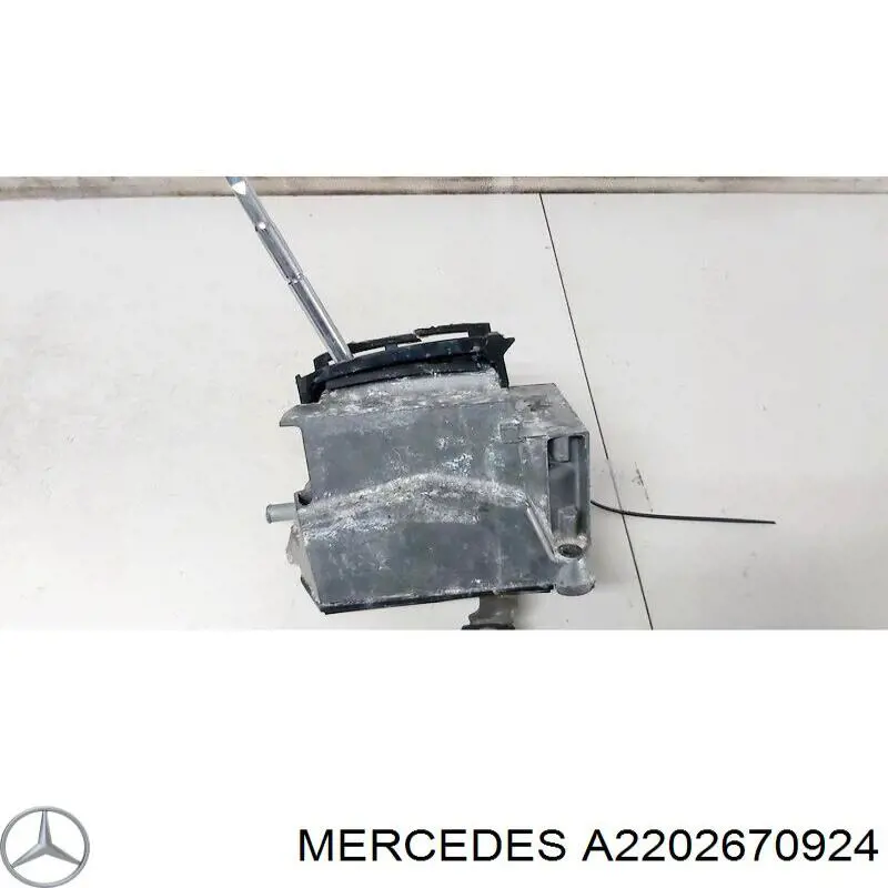 2202673324 Mercedes 