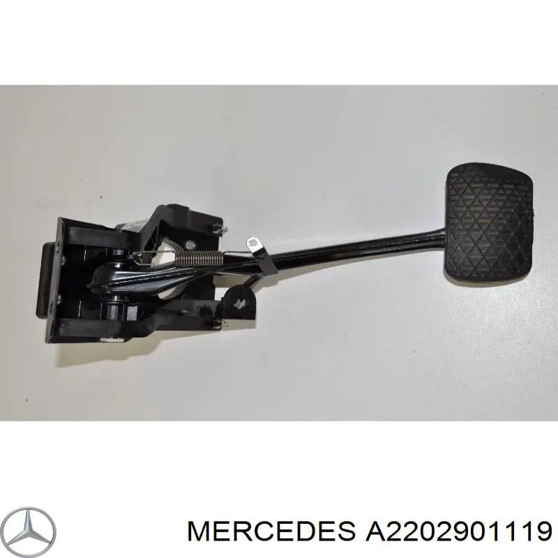  A2202901119 Mercedes