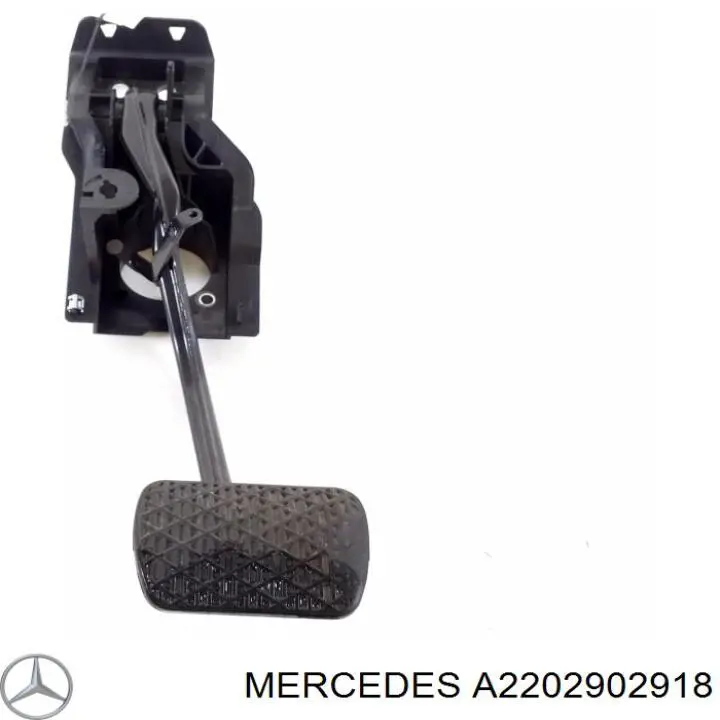 2202902918 Mercedes 