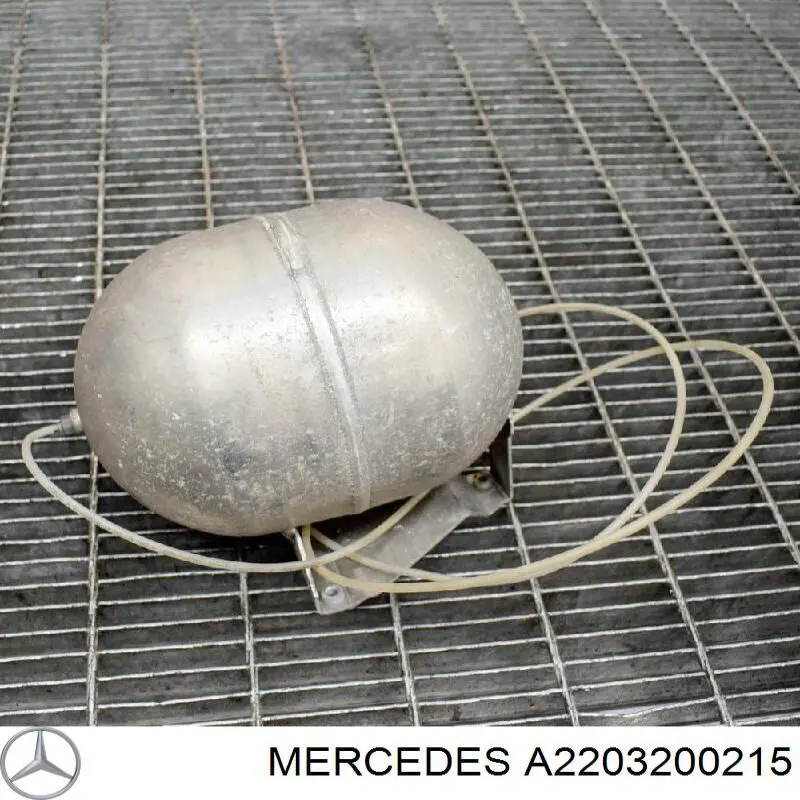 A2203200215 Mercedes Ресивер пневматической системы
