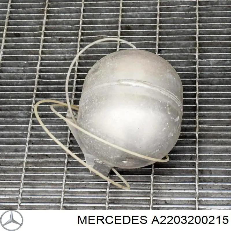 Ресивер пневматической системы Mercedes A2203200215 цена, от 12.67 USD