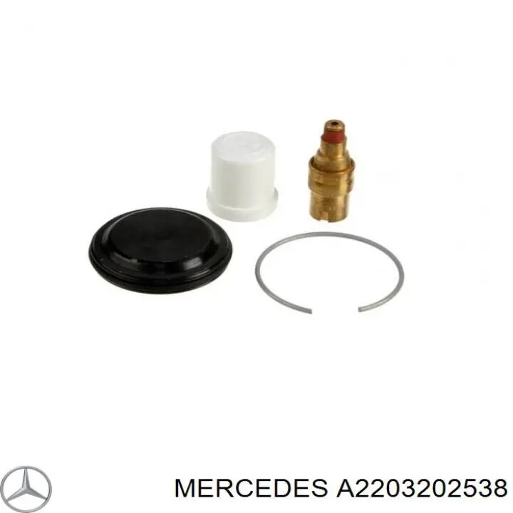 A2203202538 Mercedes амортизатор передний