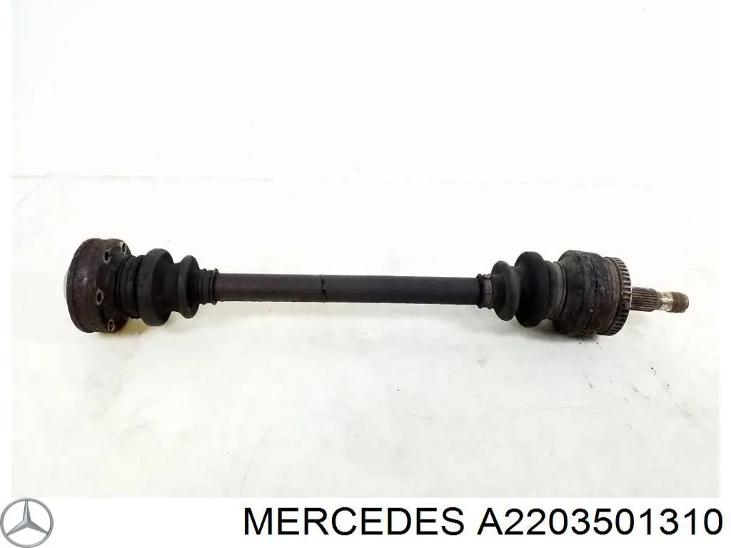  A2203501310 Mercedes