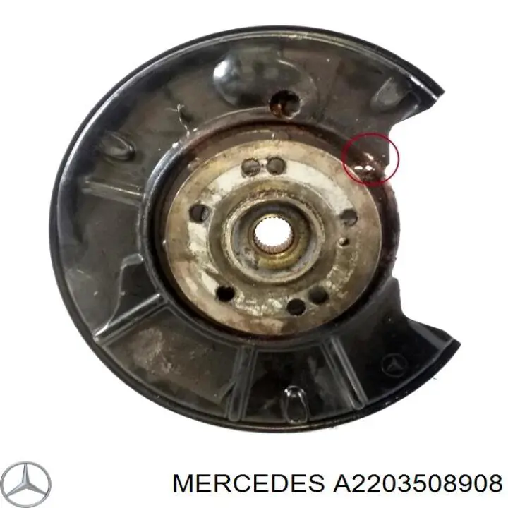 Pino moente (extremidade do eixo) traseiro esquerdo para Mercedes S (W220)