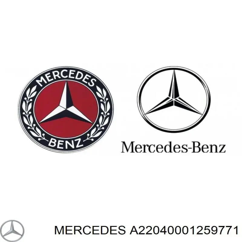  A22040001259771 Mercedes