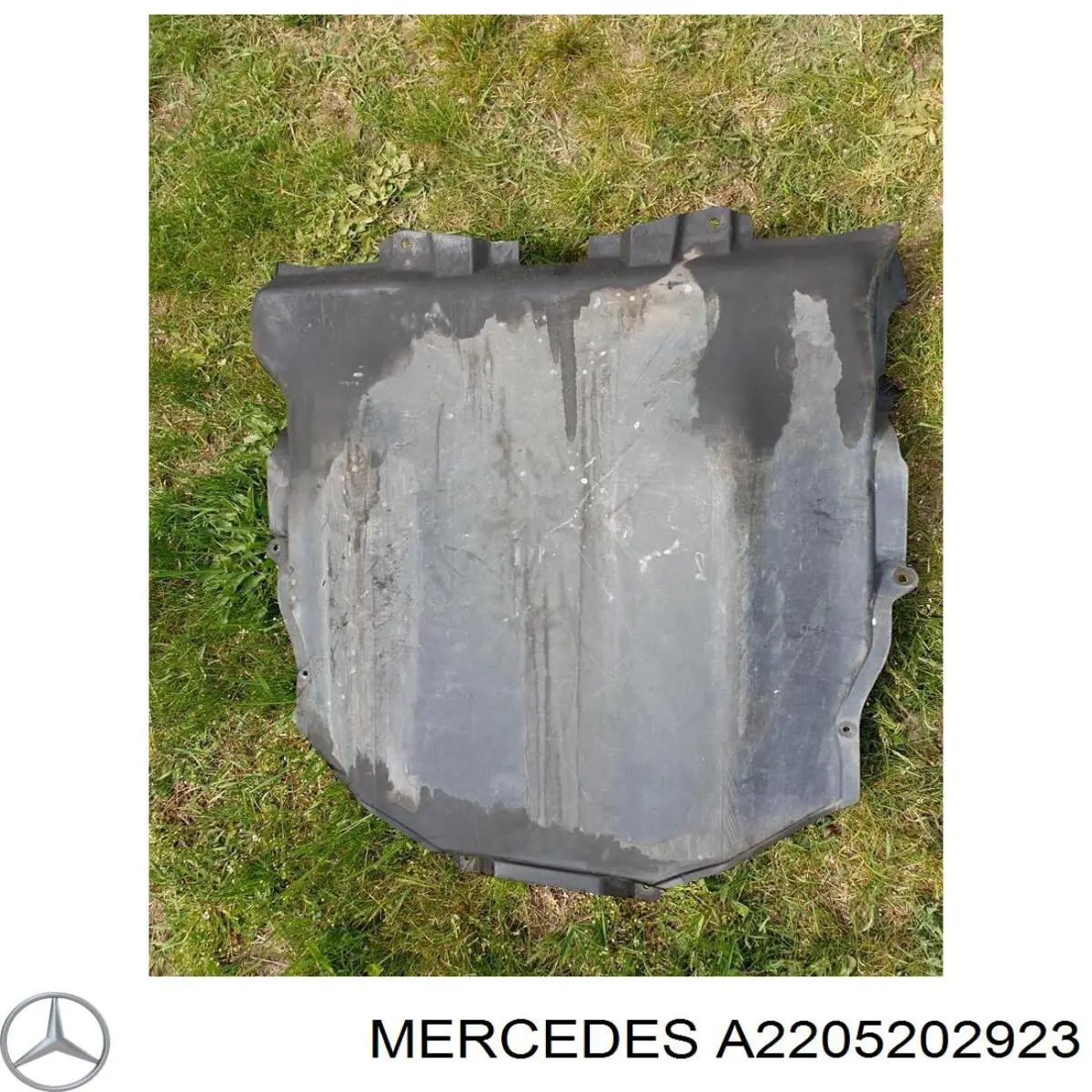 A2205202923 Mercedes 