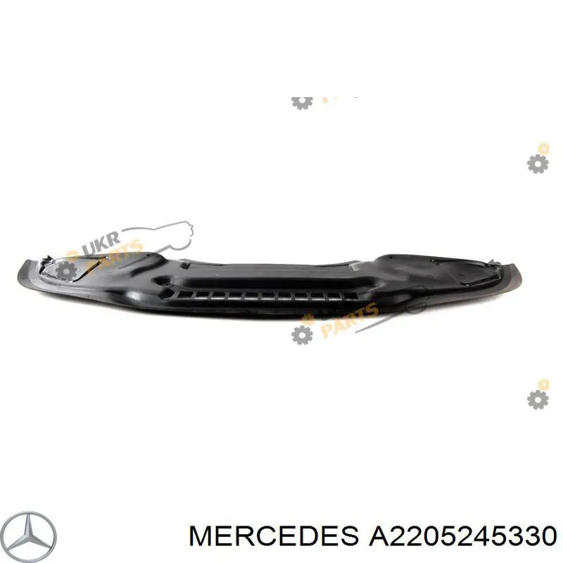  A2205245330 Mercedes