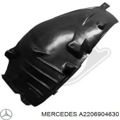 Guarda-barras direito do pára-lama dianteiro para Mercedes S (W220)