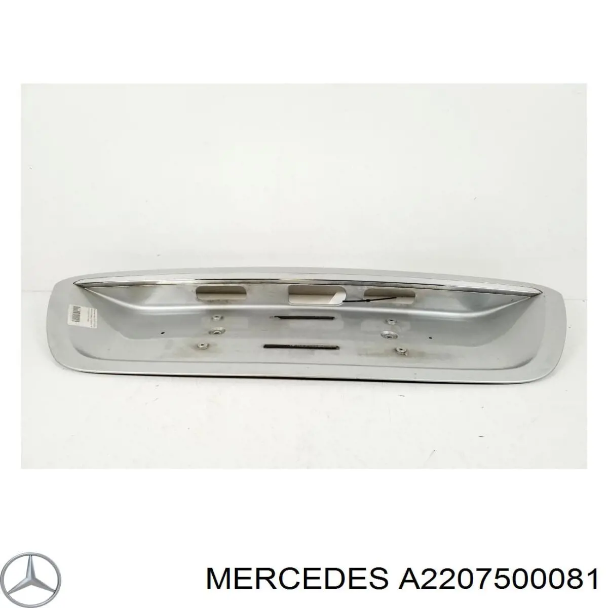 A22075000819999 Mercedes 