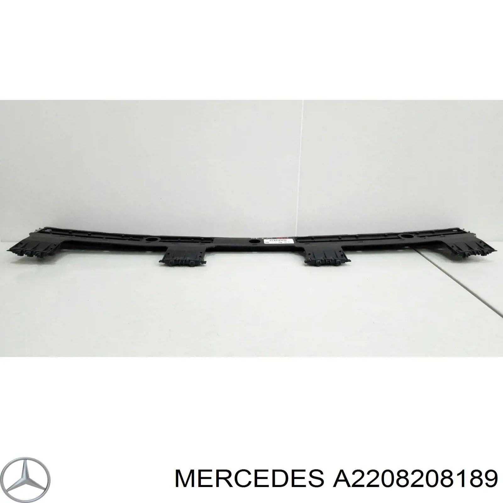 A2208208189 Mercedes 