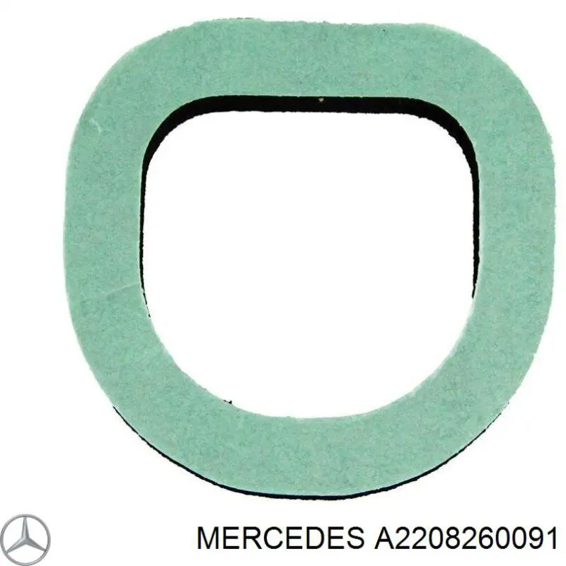 A2208260091 Mercedes 