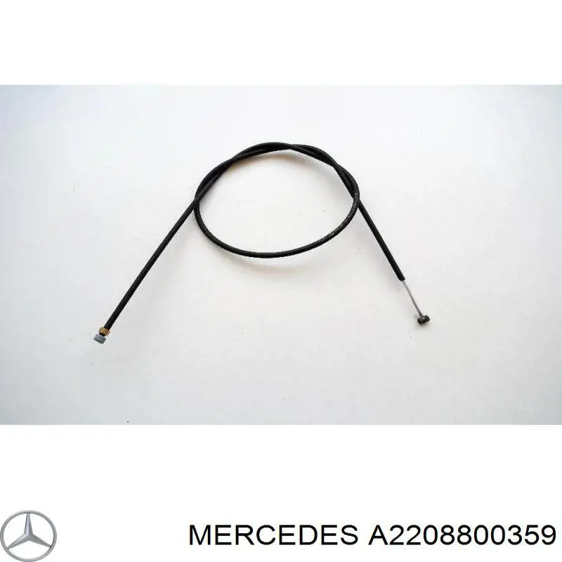 A220880035964 Mercedes 