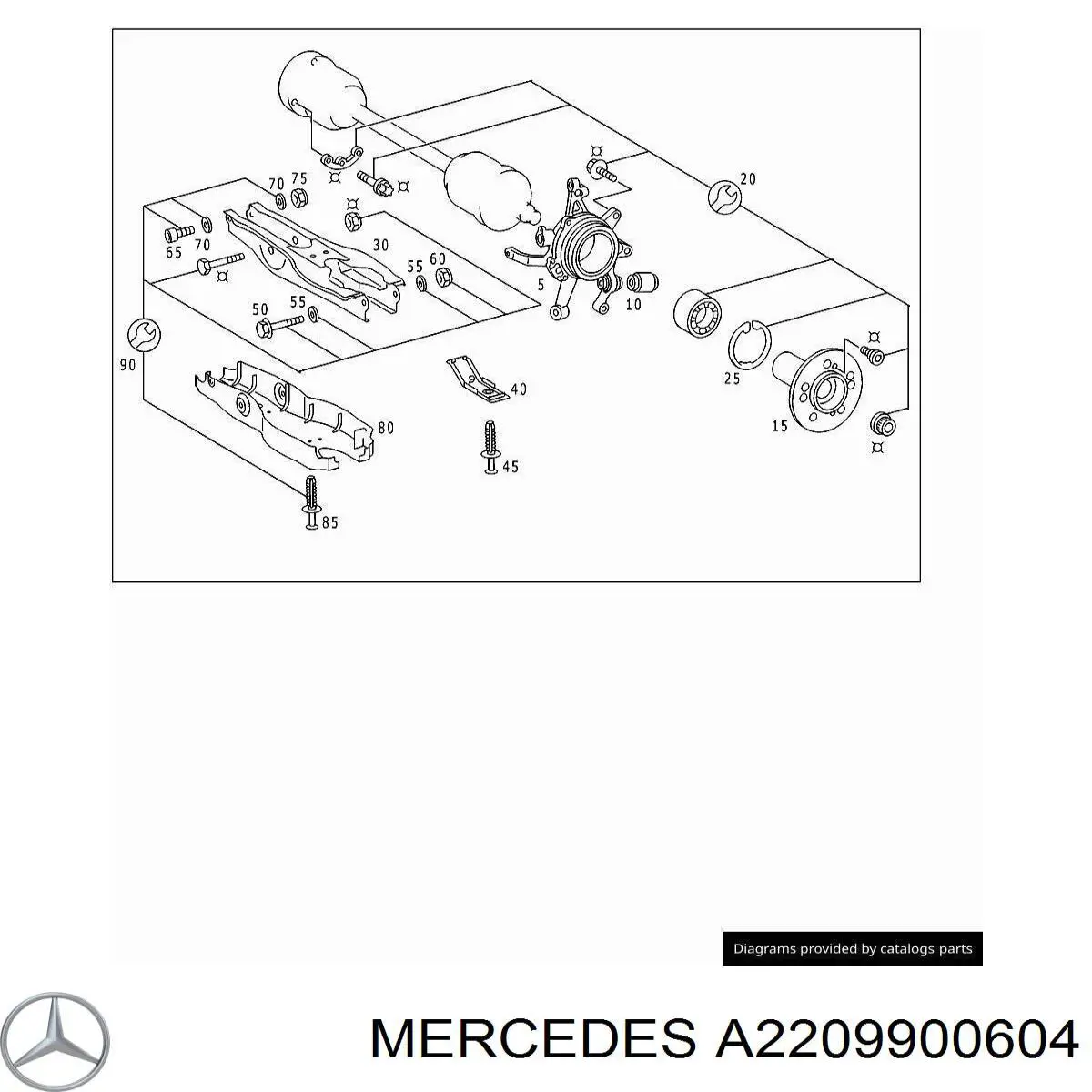 2209900604 Mercedes 