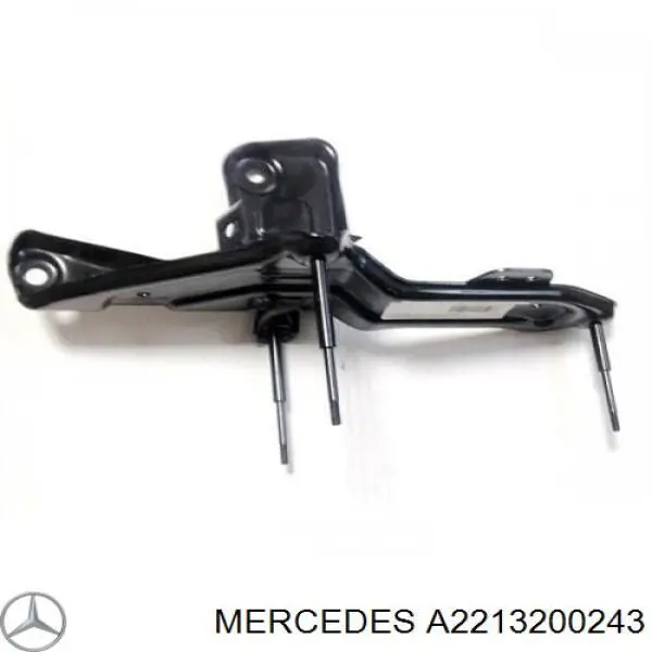  A2213200243 Mercedes