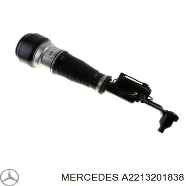 A2213201838 Mercedes amortecedor dianteiro direito