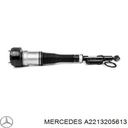 Амортизатор задний, правый Mercedes A2213205613 цена, от 179.74 USD