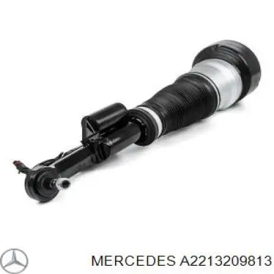 Купить A2213209813 Mercedes Амортизатор подвески передний правый