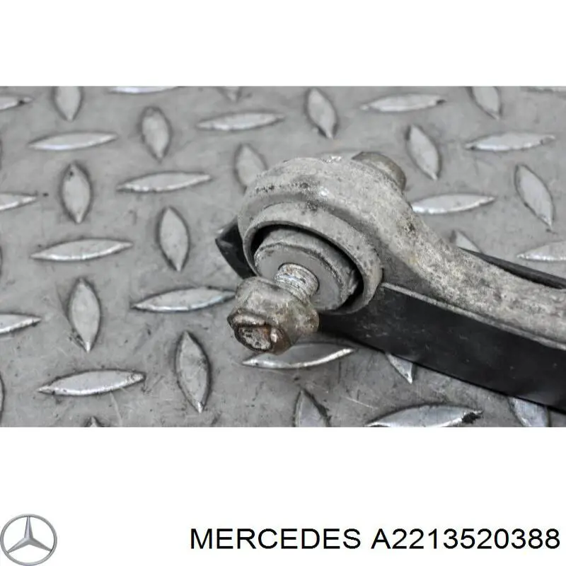 2213520388 Mercedes Защита заднего нижнего рычага