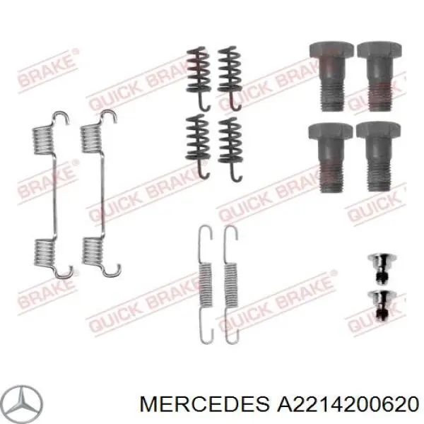 A2214200620 Mercedes колодки ручника (стояночного тормоза)