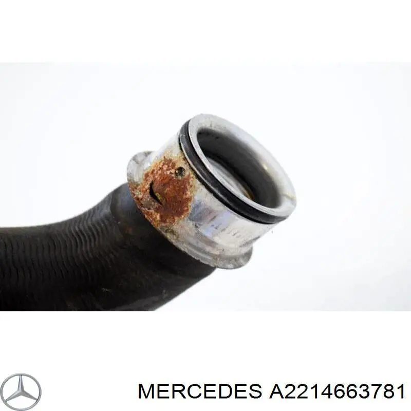  A2214663781 Mercedes