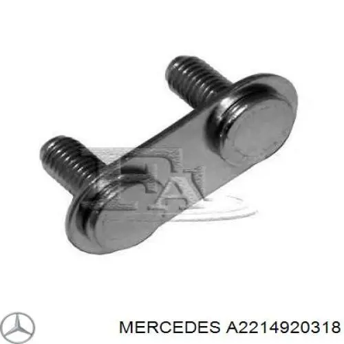  A2214920318 Mercedes