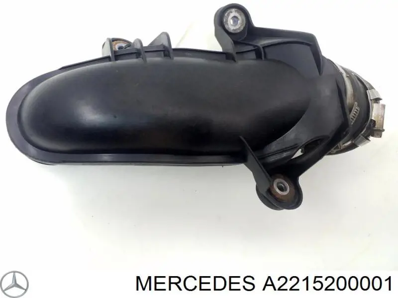Mangueira (cano derivado) direita de intercooler para Mercedes S (W221)