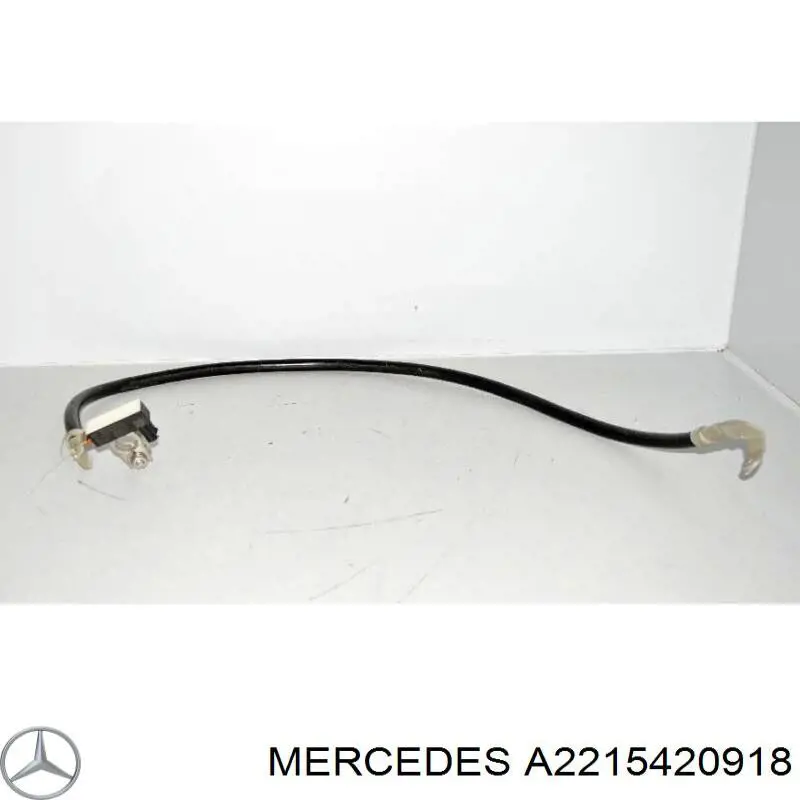  2215420918 Mercedes