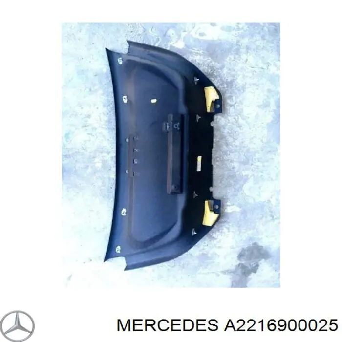  A22169000259F28 Mercedes