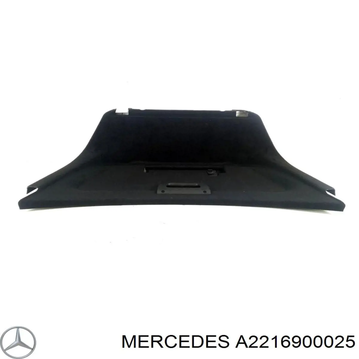 A22169000259F28 Mercedes 