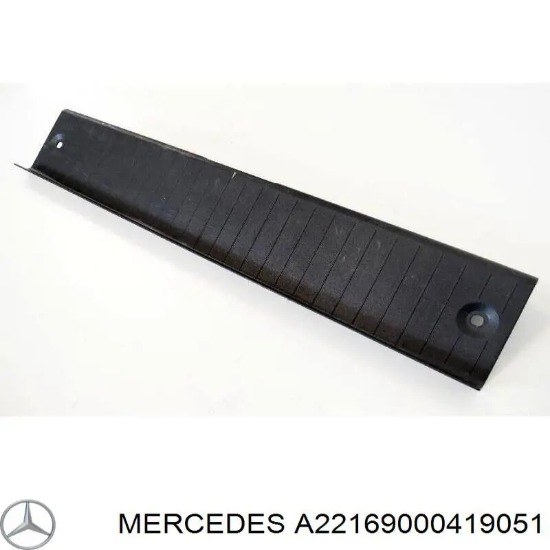 A22169000419051 Mercedes 