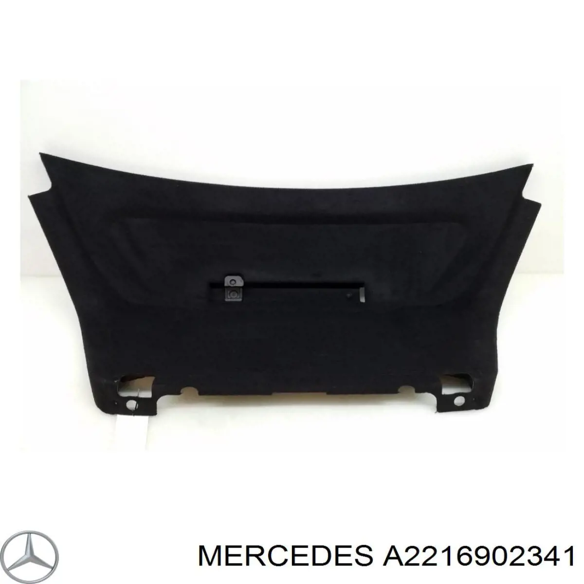 A22169023419F28 Mercedes 