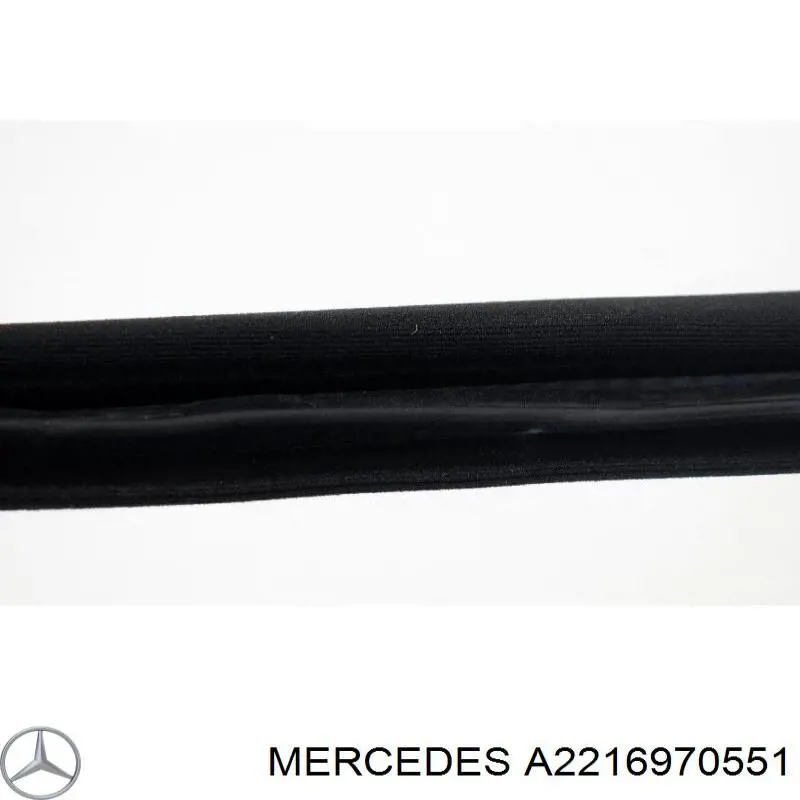  A2216970551 Mercedes