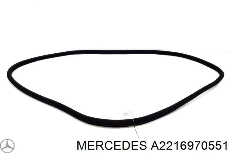 A2216970551 Mercedes 