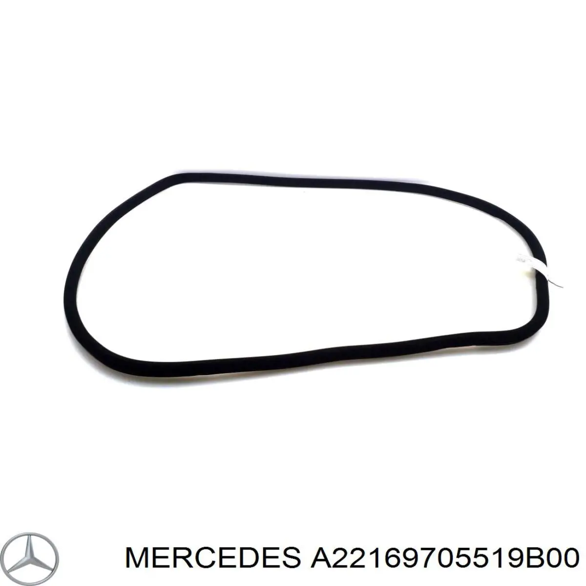A22169705519B00 Mercedes 