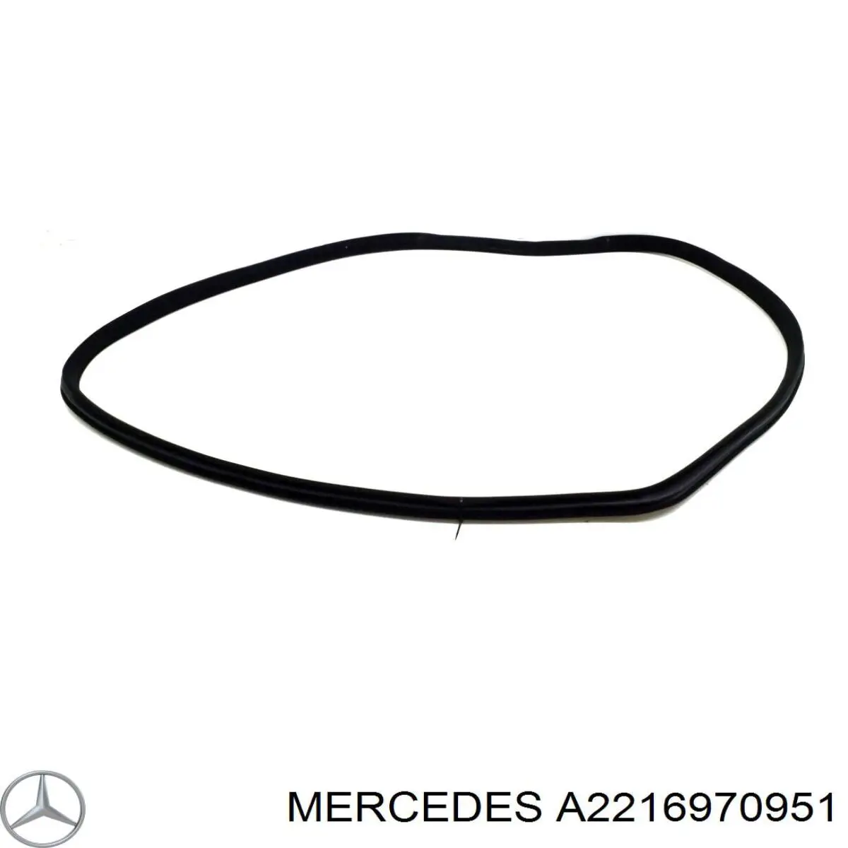 A2216970951 Mercedes уплотнитель двери
