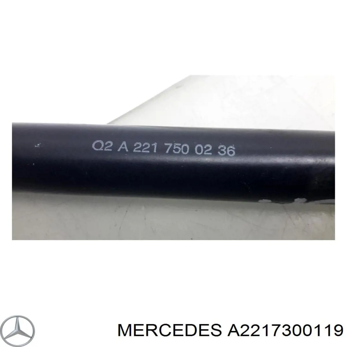  A2217300119 Mercedes