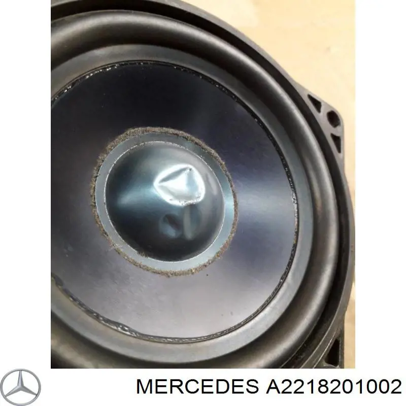 2218201002 Mercedes 