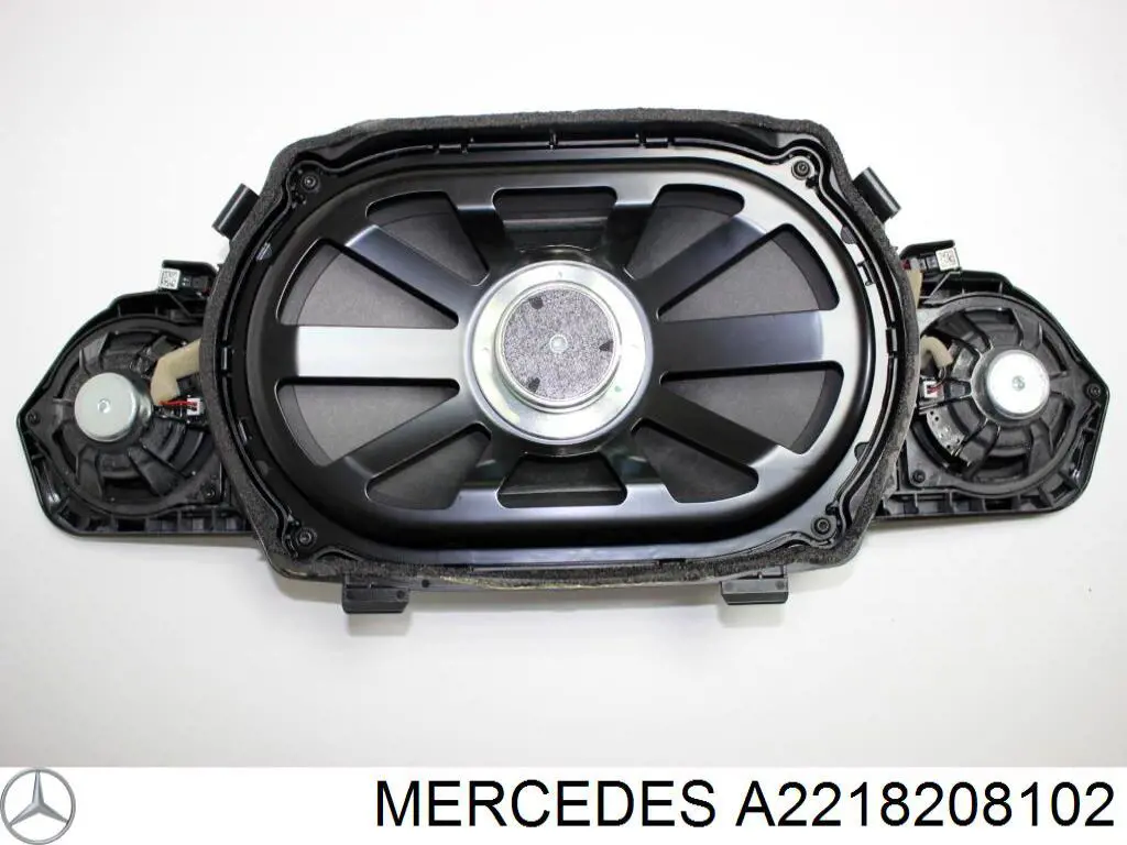  2218208102 Mercedes