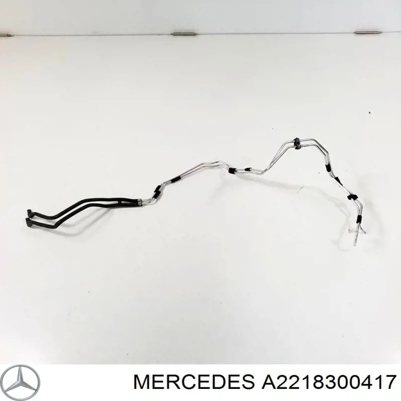  A2218300417 Mercedes