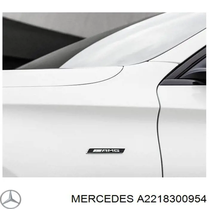 A2218300954 Mercedes 