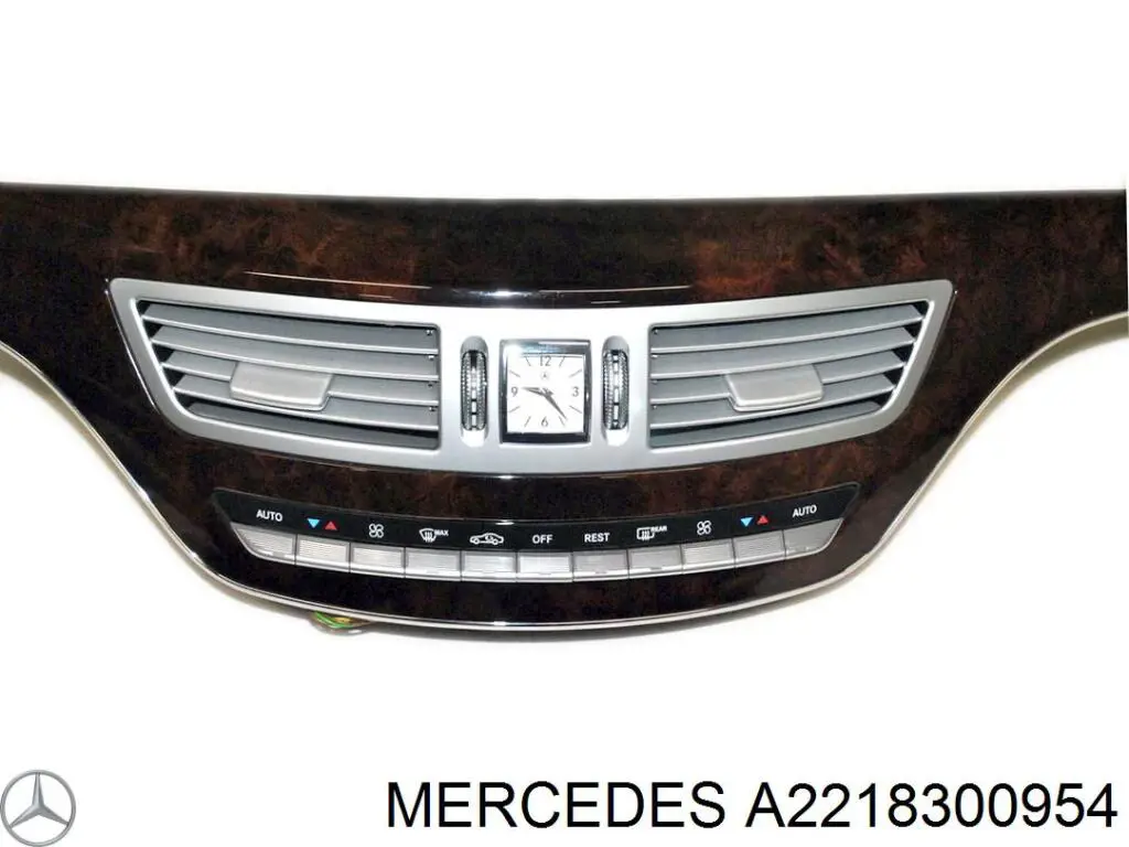 A2218300954 Mercedes 