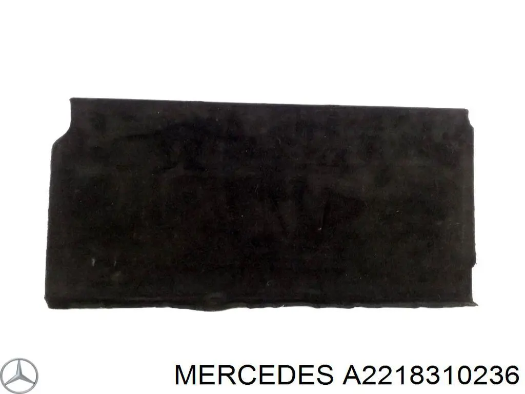 A22183102369051 Mercedes