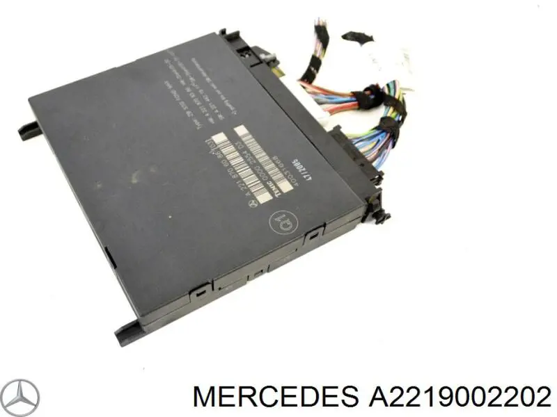 Монитор (дисплей) переднего подголовника Mercedes 2219002202